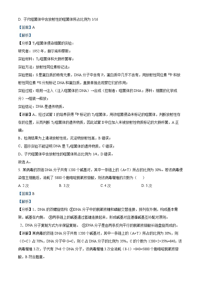 河南省创新发展联盟2023-2024学年高一下学期5月月考生物试题（学生版+教师版 ）03