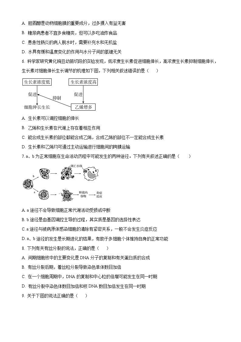湖南省岳阳市湘阴县第一中学2023-2024学年高三下学期5月期中生物试题（学生版+教师版 ）02