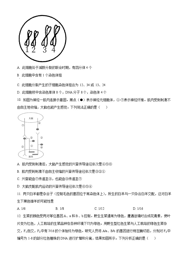 湖南省岳阳市湘阴县第一中学2023-2024学年高三下学期5月期中生物试题（学生版+教师版 ）03