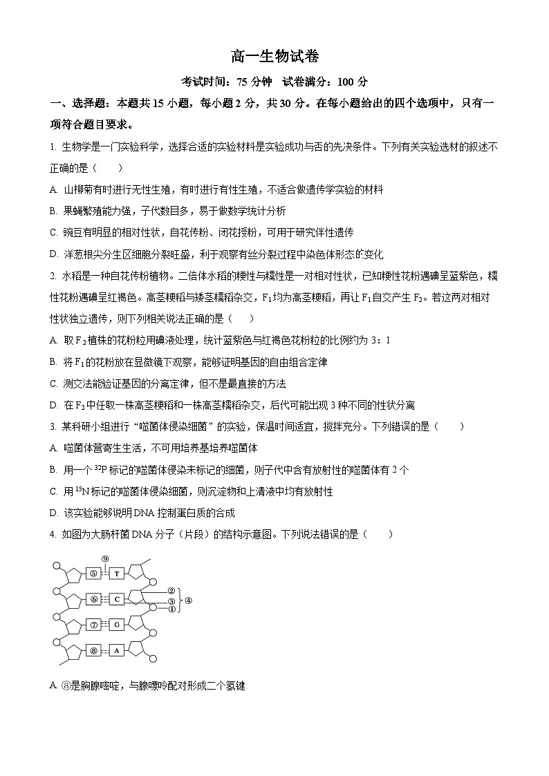 吉林省白山市浑江区第二中学2023-2024学年高一下学期5月月考模拟考试生物试题（学生版）第1页
