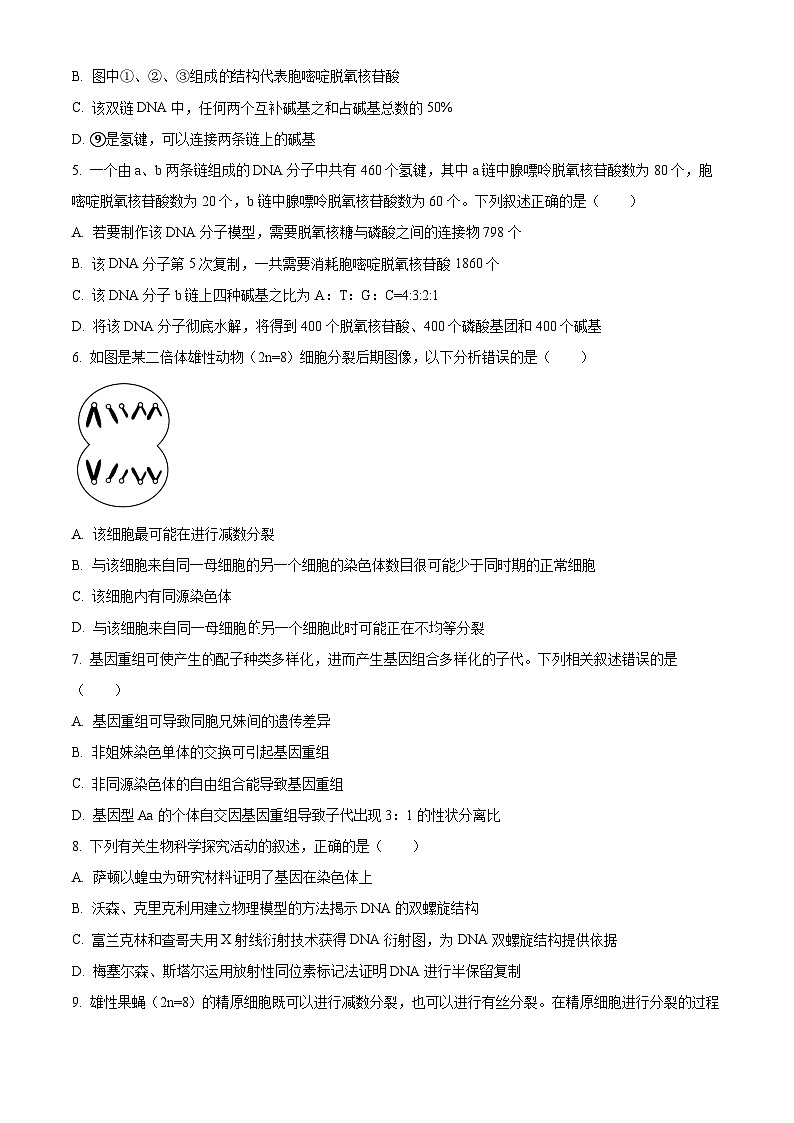 吉林省白山市浑江区第二中学2023-2024学年高一下学期5月月考模拟考试生物试题（学生版）第2页