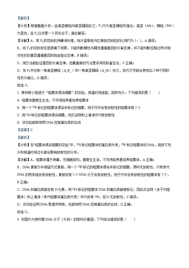 吉林省白山市浑江区第二中学2023-2024学年高一下学期5月月考模拟考试生物试题（教师版 ）第2页
