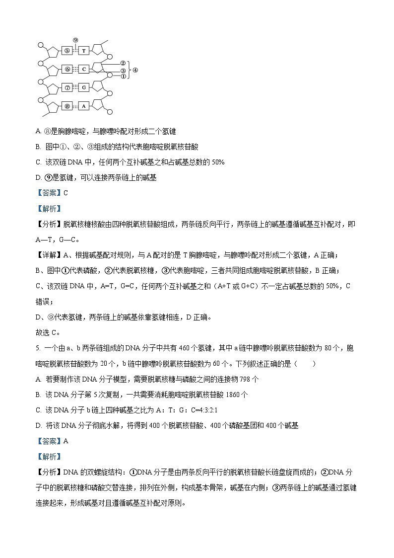 吉林省白山市浑江区第二中学2023-2024学年高一下学期5月月考模拟考试生物试题（教师版 ）第3页