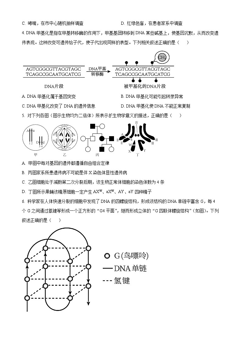 吉林省长春市朝阳区外国语学校2023-2024学年高一下学期5月期中生物试题（学生版+教师版 ）02