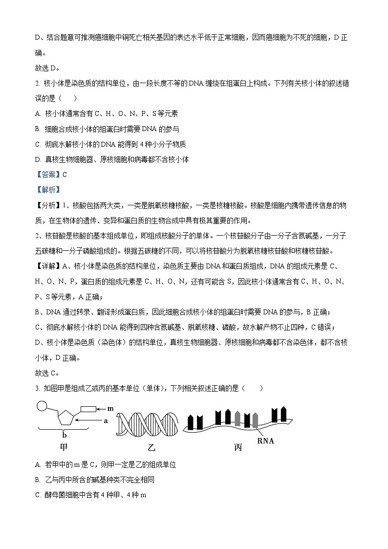 吉林省长春市朝阳区长春外国语学校2023-2024学年高二下学期5月期中生物试题（学生版+教师版 ）02