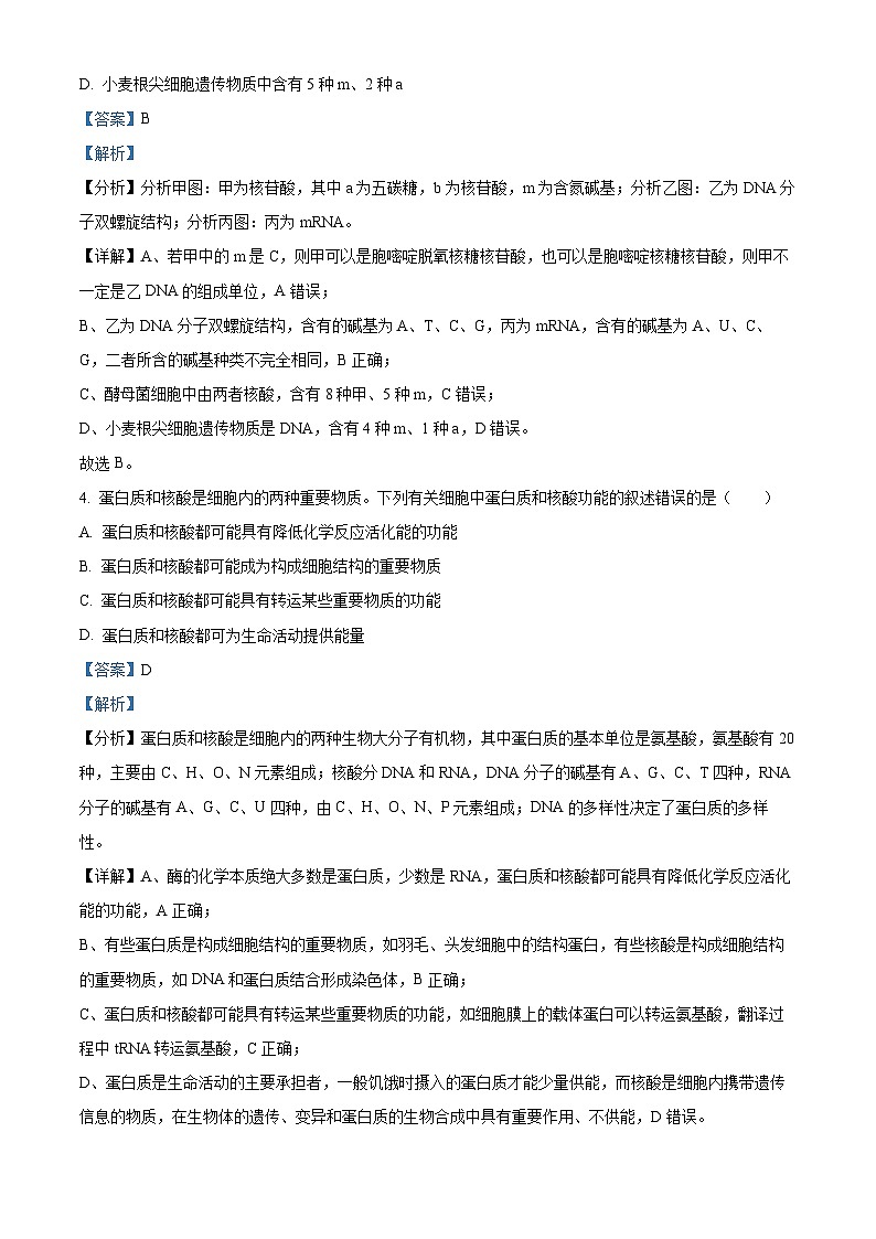 吉林省长春市朝阳区长春外国语学校2023-2024学年高二下学期5月期中生物试题（学生版+教师版 ）03