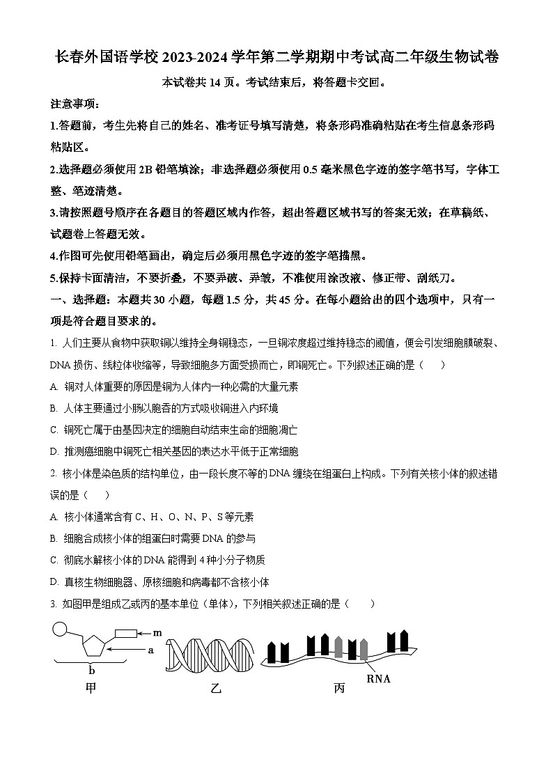 吉林省长春市朝阳区长春外国语学校2023-2024学年高二下学期5月期中生物试题（学生版+教师版 ）01