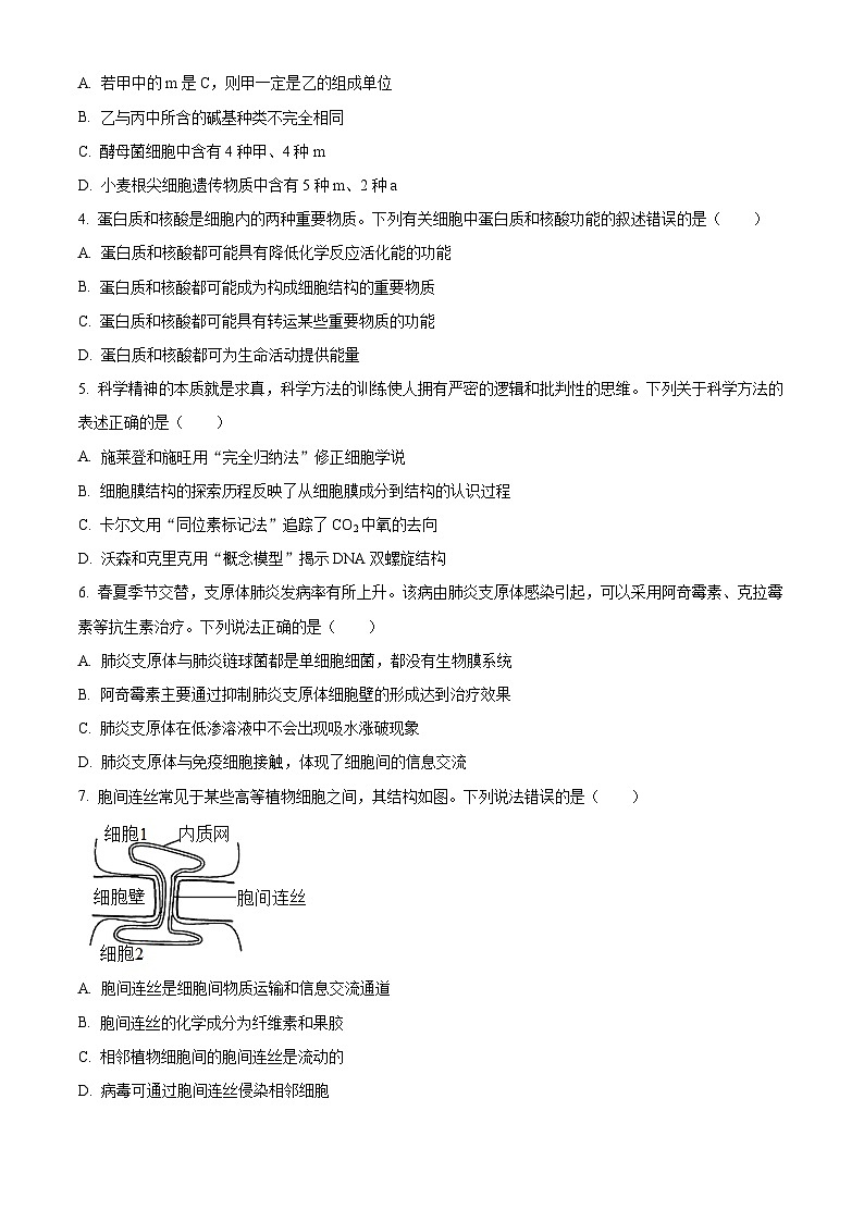吉林省长春市朝阳区长春外国语学校2023-2024学年高二下学期5月期中生物试题（学生版+教师版 ）02