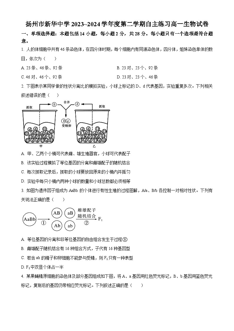 江苏省扬州市广陵区扬州市新华中学2023-2024学年高一下学期5月月考生物试题01
