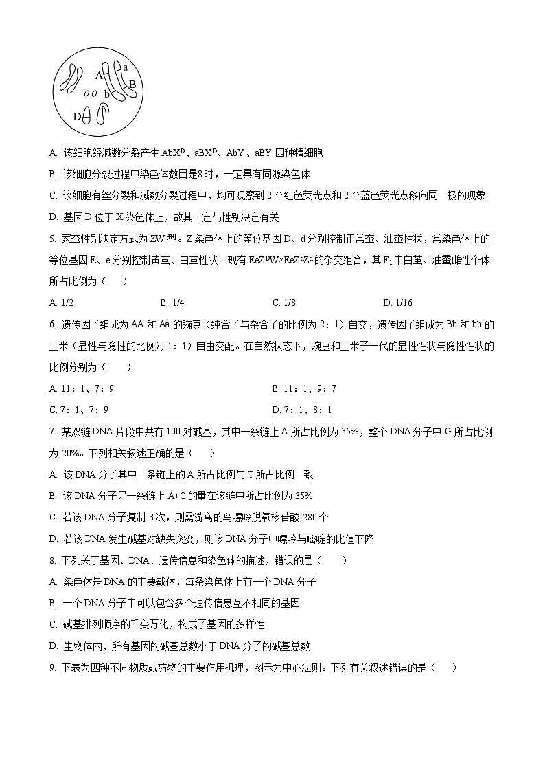 江苏省扬州市广陵区扬州市新华中学2023-2024学年高一下学期5月月考生物试题02