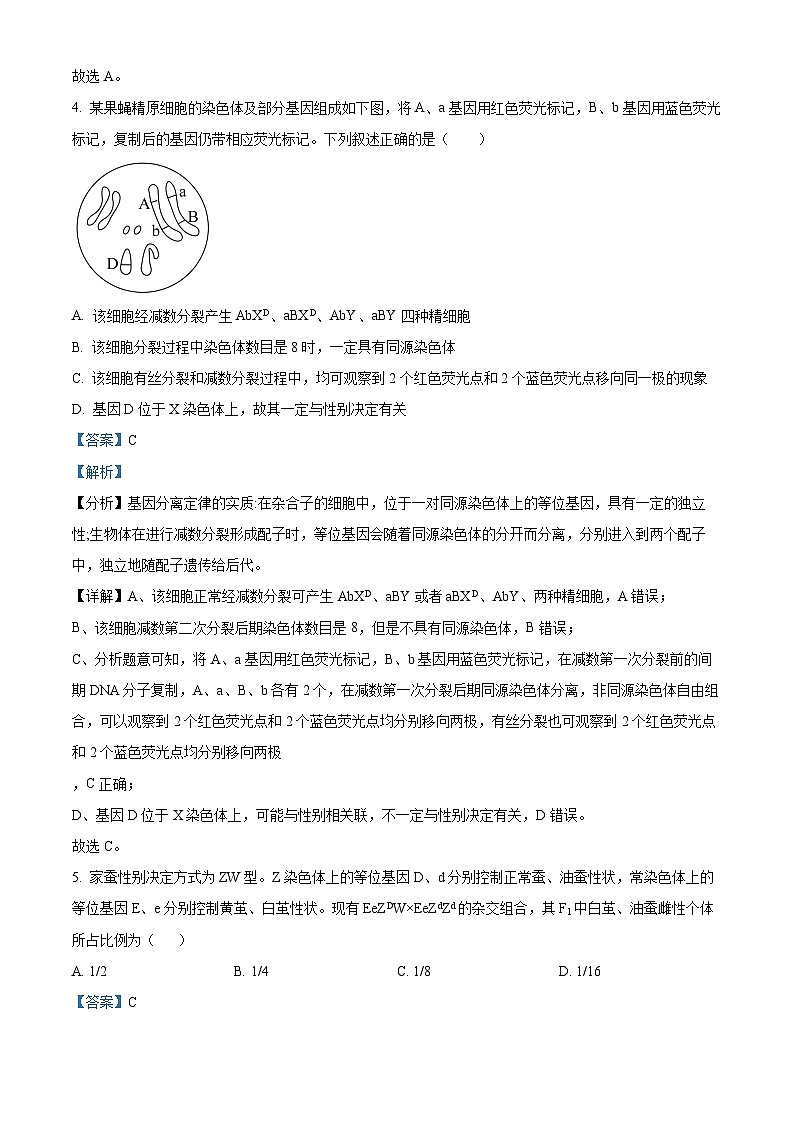 江苏省扬州市广陵区扬州市新华中学2023-2024学年高一下学期5月月考生物试题03