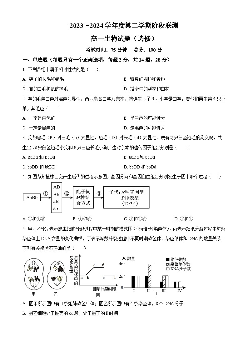 江苏省五市十一校2023-2024学年高一下学期5月阶段联考生物试题（学生版）第1页