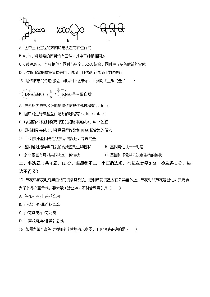 江苏省五市十一校2023-2024学年高一下学期5月阶段联考生物试题（学生版）第3页