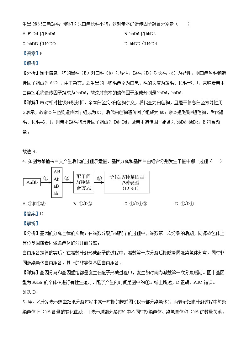 江苏省五市十一校2023-2024学年高一下学期5月阶段联考生物试题（教师版 ）第2页