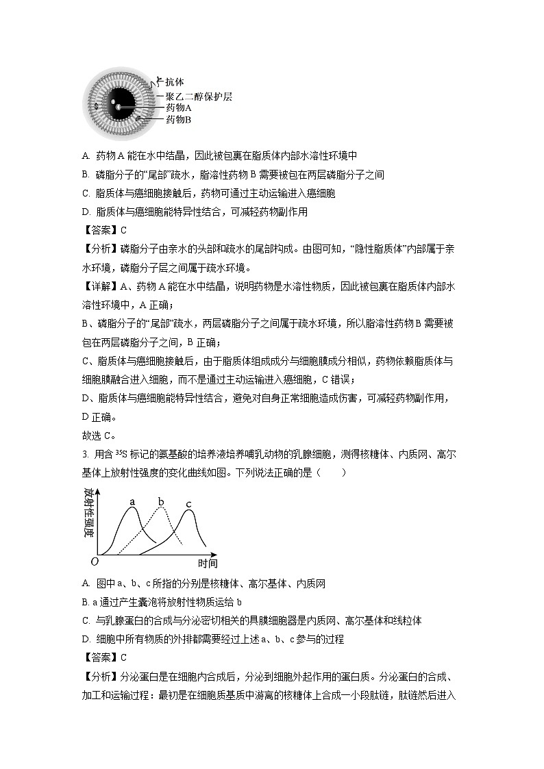河北廊坊卓越艺术职业中学2023-2024学年高一下学期5月月考生物试卷（解析版）02