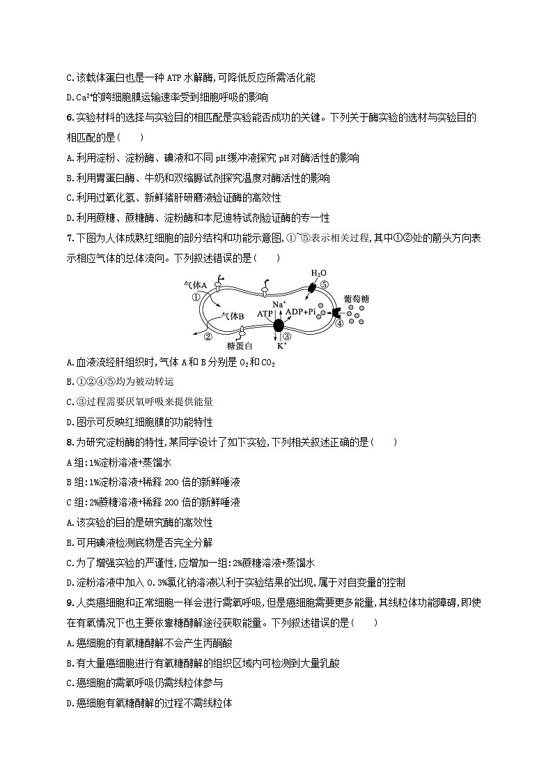 适用于新高考新教材浙江专版2025届高考生物一轮总复习单元检测2细胞的代谢浙科版第2页