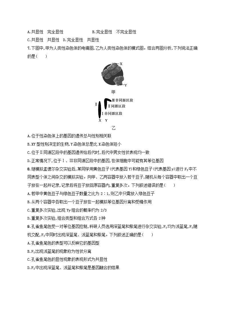 适用于新高考新教材浙江专版2025届高考生物一轮总复习单元检测4遗传的基本规律及应用浙科版02