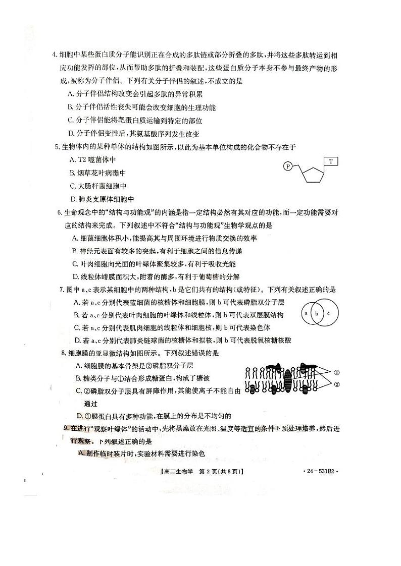 河北省保定市2023-2024学年高二下学期5月期中生物试题02