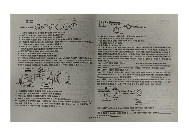 河北省邯郸市武安市第一中学2023-2024学年高二下学期5月月考生物试题第3页