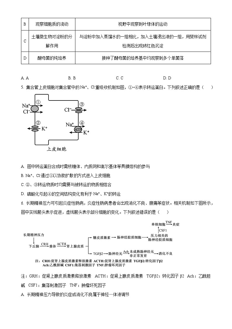 2024届天津市北辰区第四十七中学高三模拟预测生物试题（学生版+教师版）02
