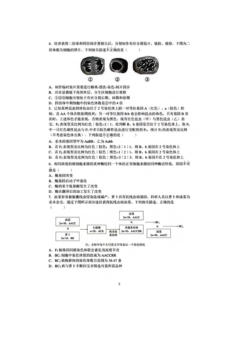2024北京人大附中高三三模生物试题及答案02
