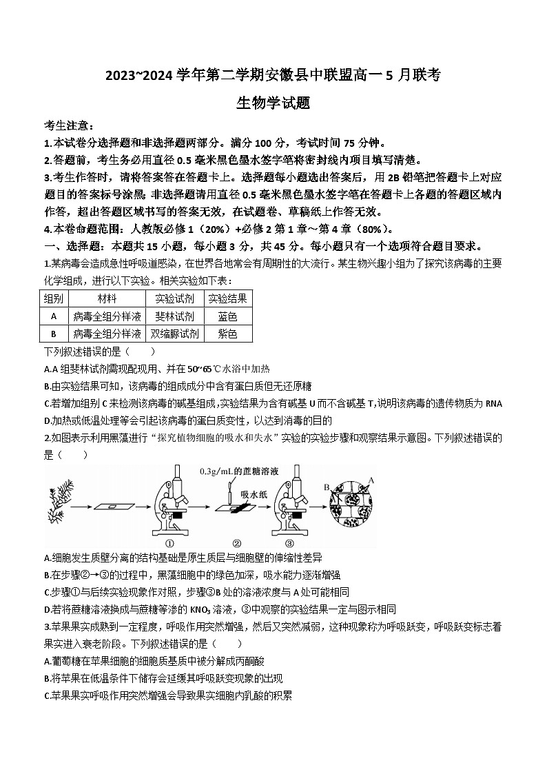 安徽省县中联盟2023-2024学年高一下学期5月联考生物试题(含答案)01
