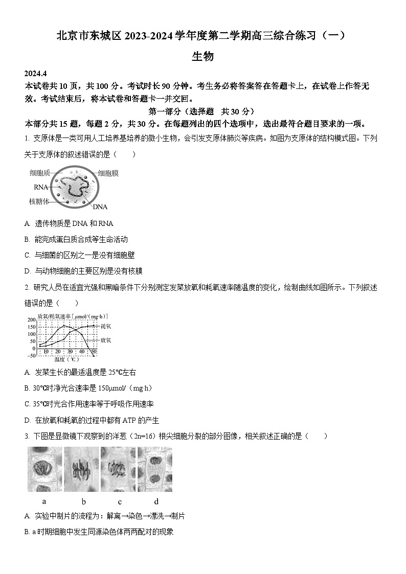 2024年北京市东城区高三下学期综合练习(高考一模)生物试卷含详解01