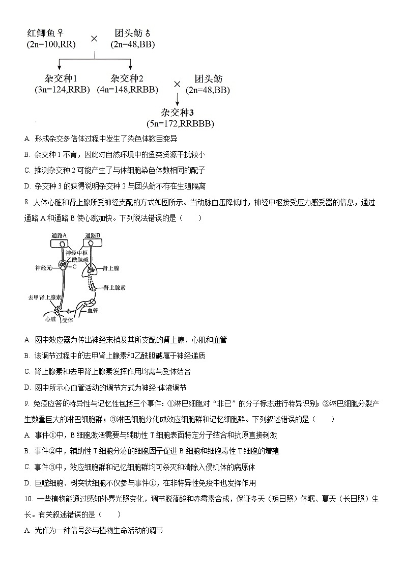 2024年北京市东城区高三下学期综合练习(高考一模)生物试卷含详解03