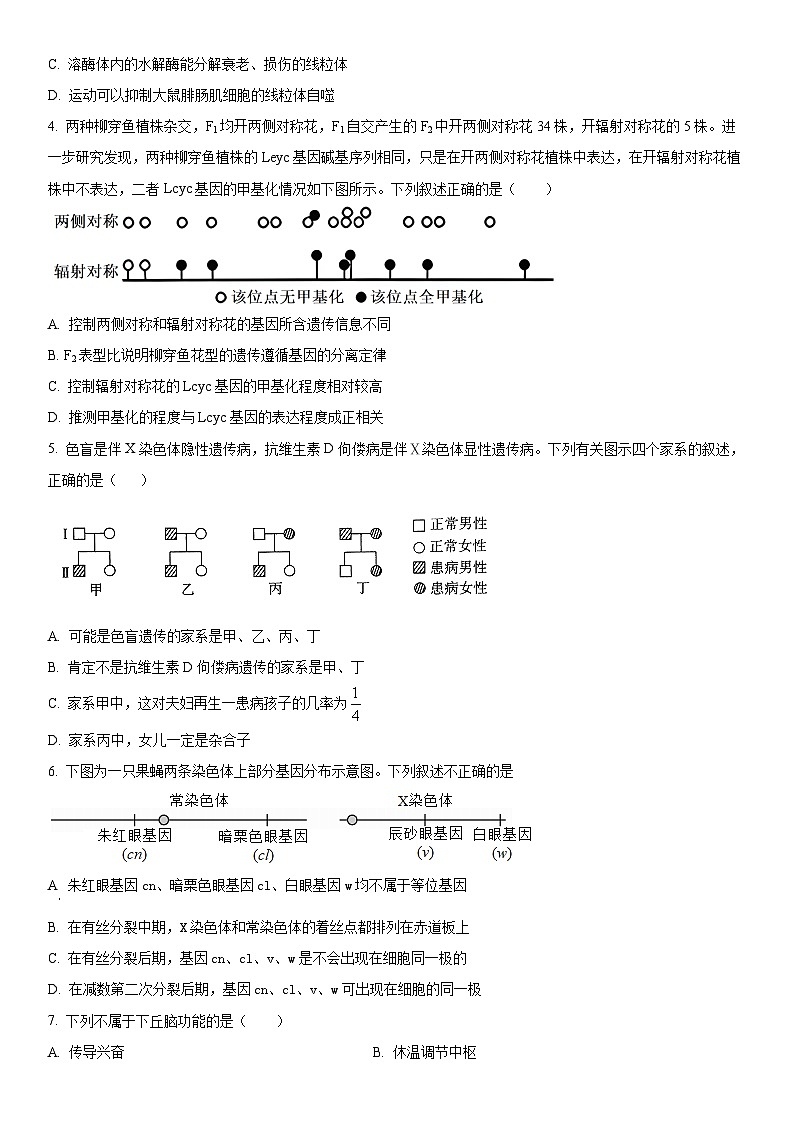 2024年北京市密云区高三下学期阶段性考试(高考一模)生物试卷含详解02