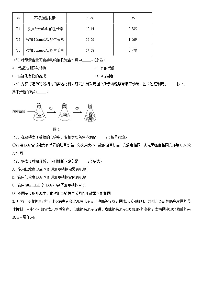 2024年上海市黄浦区高三高考一模生物试卷含详解02