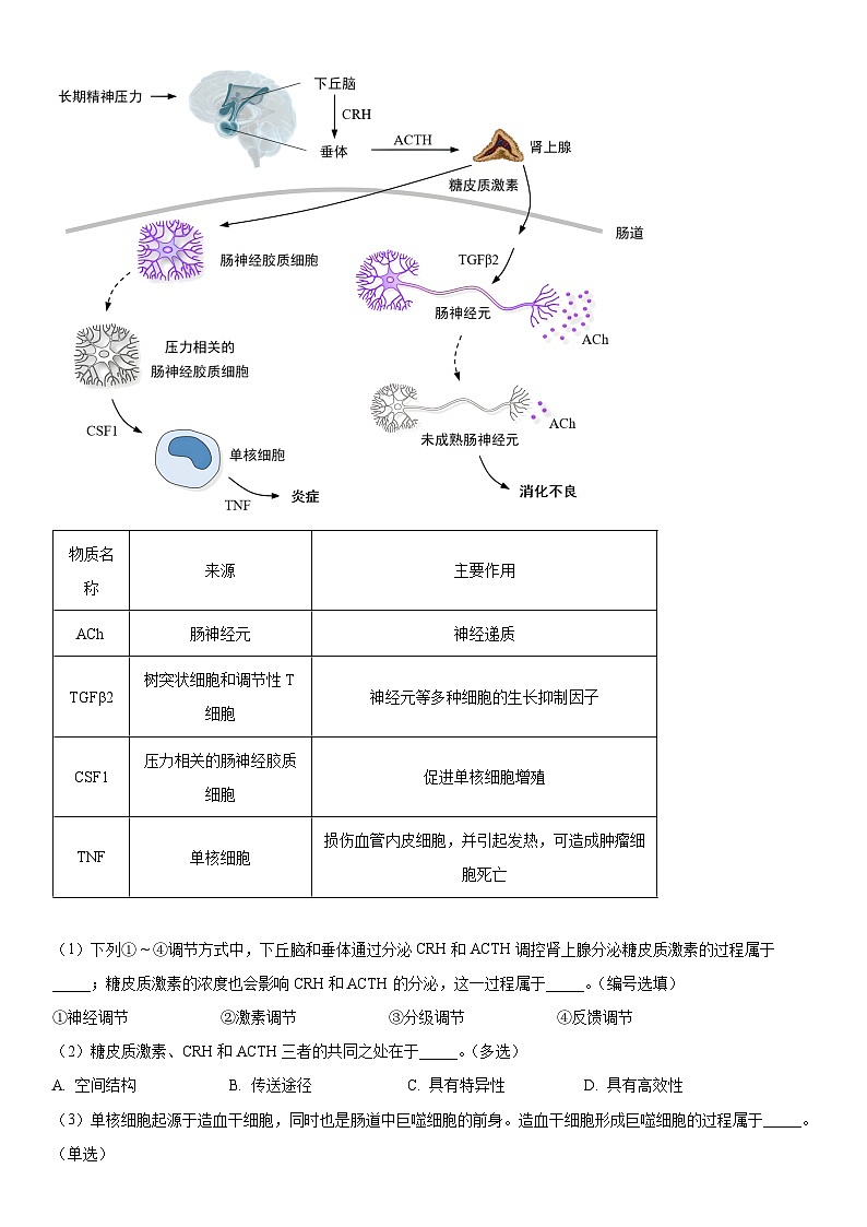 2024年上海市黄浦区高三高考一模生物试卷含详解03