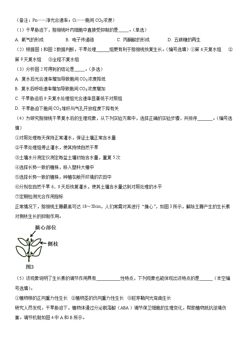 2024年上海市崇明区高三上学期高考一模生物试卷含详解第3页