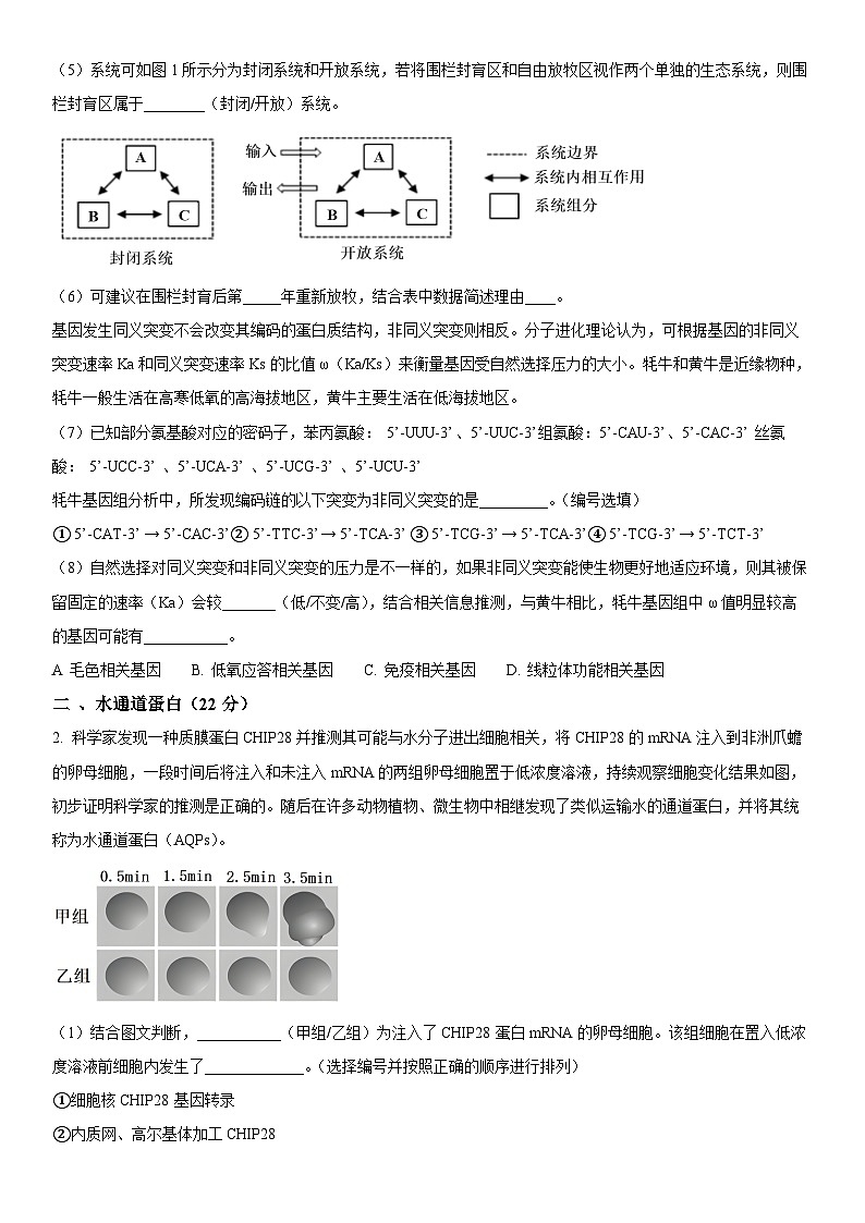 2024年上海市宝山区高三上学期期末高考一模生物试卷含详解02