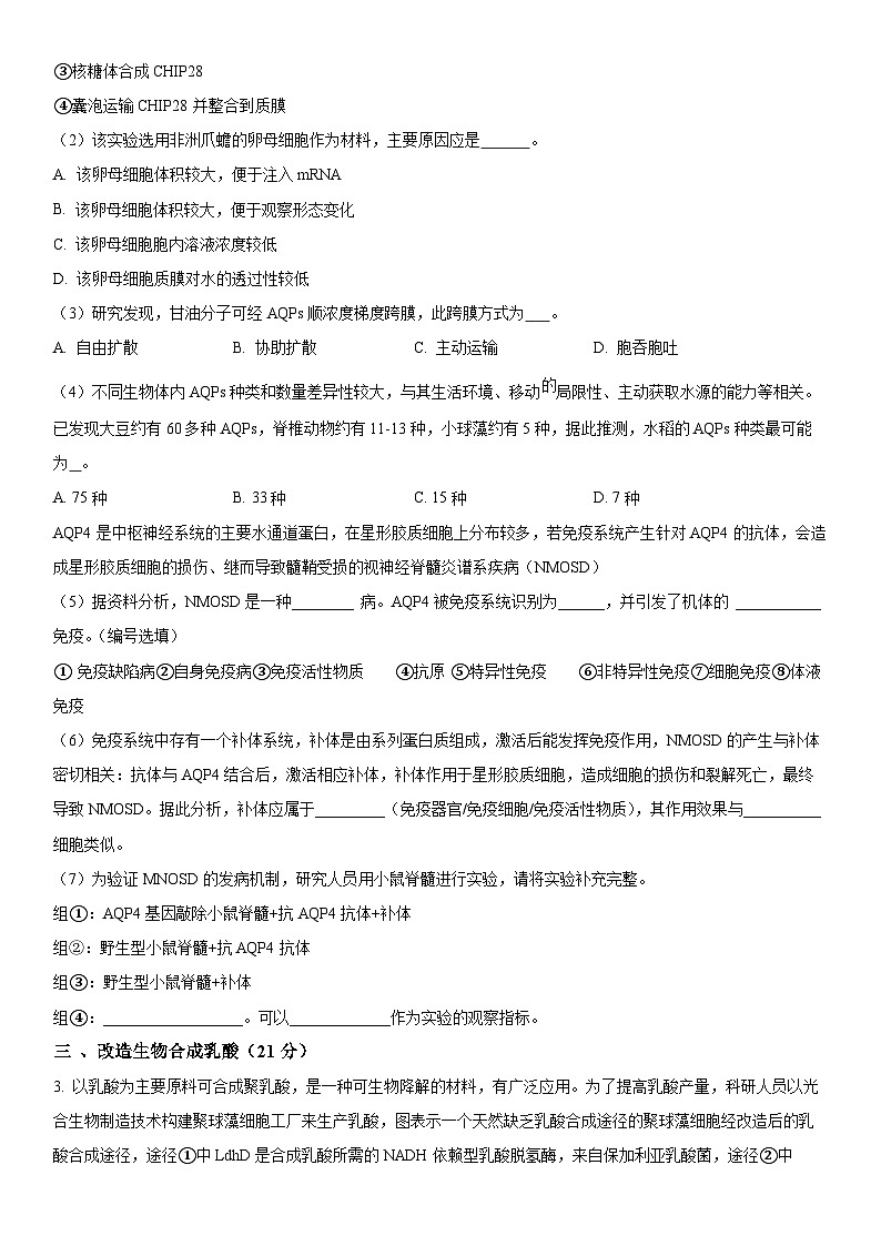 2024年上海市宝山区高三上学期期末高考一模生物试卷含详解03