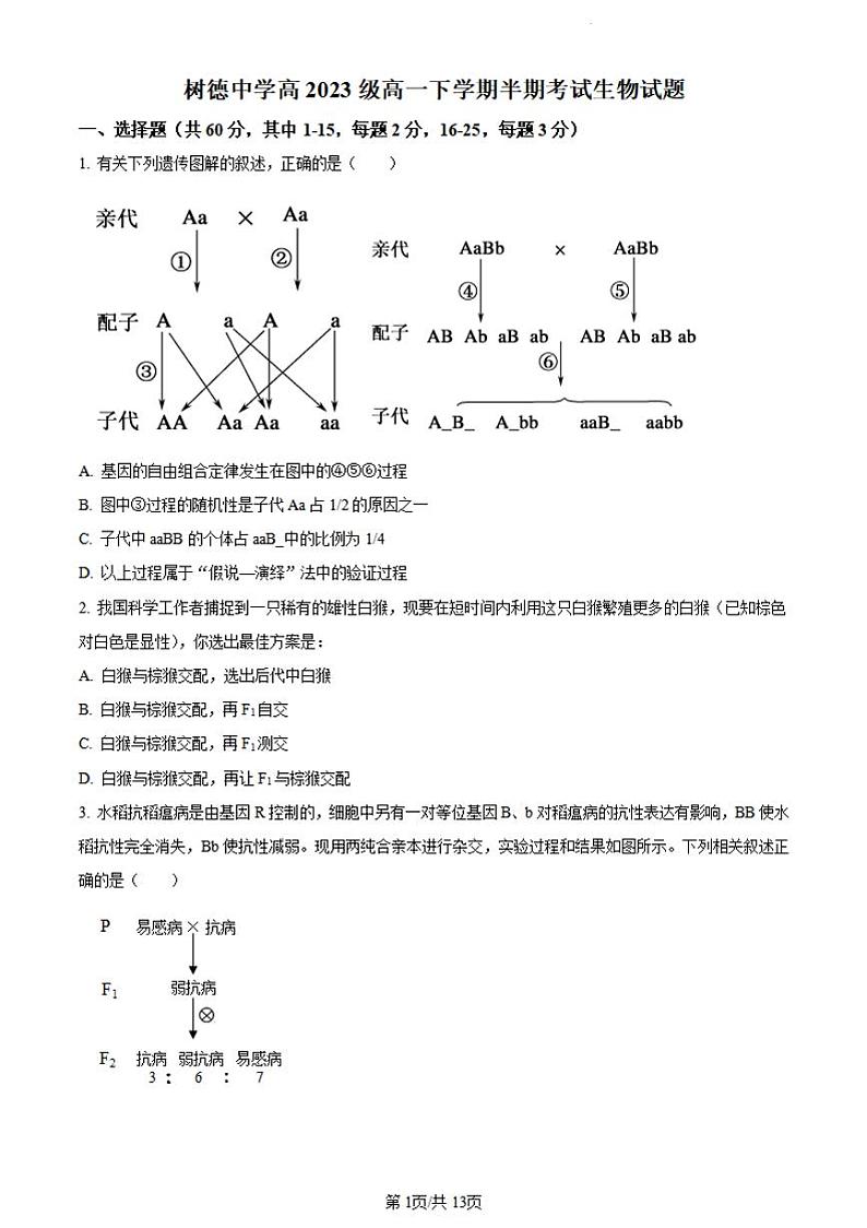 四川省成都市青羊区树德中学2023-2024学年高一下学期5月期中生物试题第1页