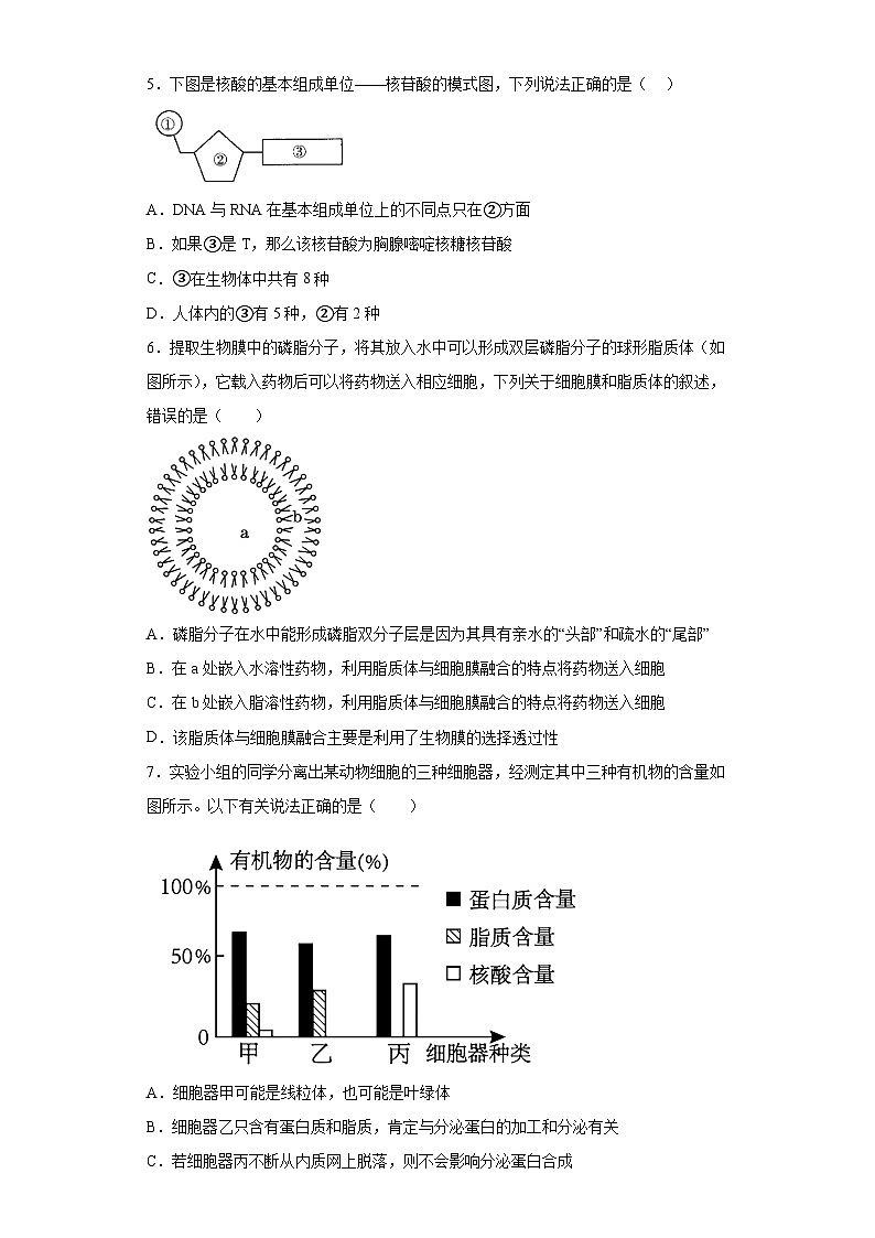 安徽省滁州市定远县育才学校2023-2024学年高一上学期期末 生物试题（含解析）02