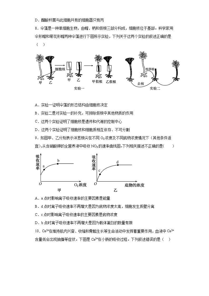 安徽省滁州市定远县育才学校2023-2024学年高一上学期期末 生物试题（含解析）03