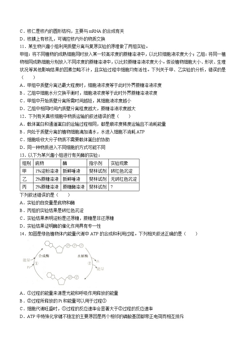安徽省合肥市一中2023-2024学年高一上学期期末 生物试题03