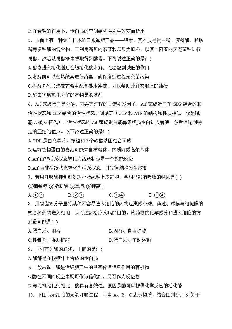 河北省衡水市第十四中学2023-2024学年高一上学期期末考试 生物试卷02