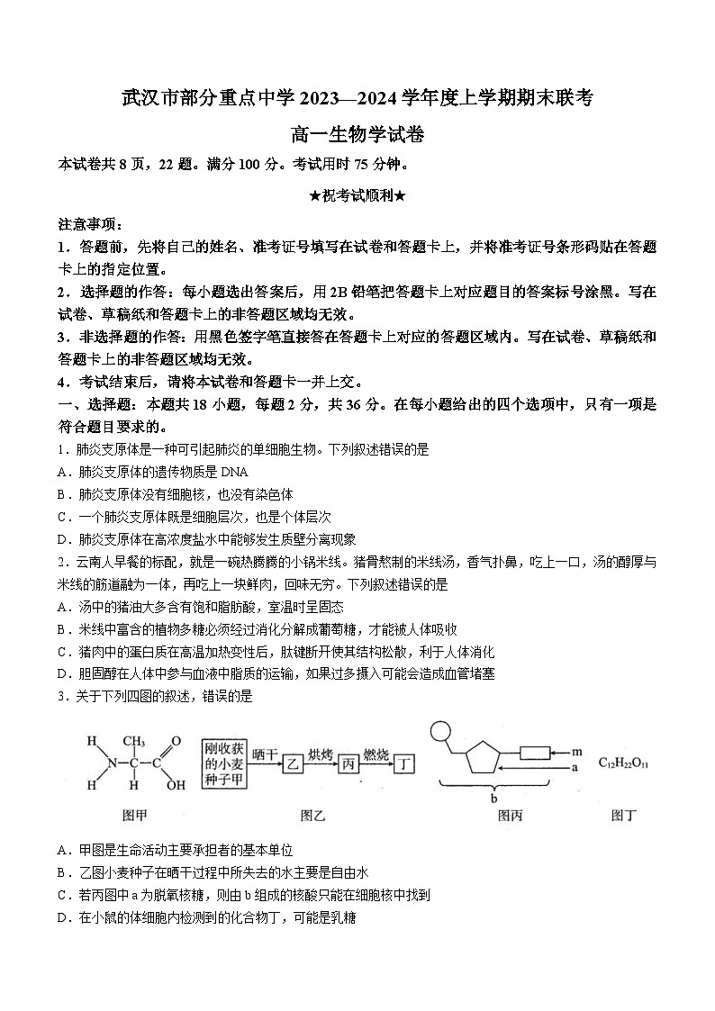 湖北省武汉市部分重点中学2023-2024学年高一上学期期末联考 生物试题01