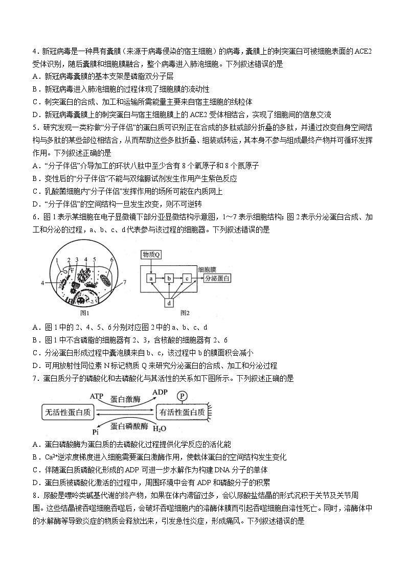 湖北省武汉市部分重点中学2023-2024学年高一上学期期末联考 生物试题02