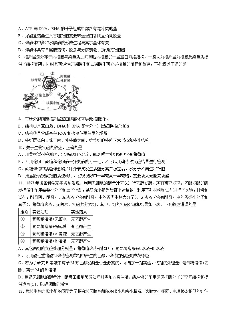 湖北省武汉市部分重点中学2023-2024学年高一上学期期末联考 生物试题03