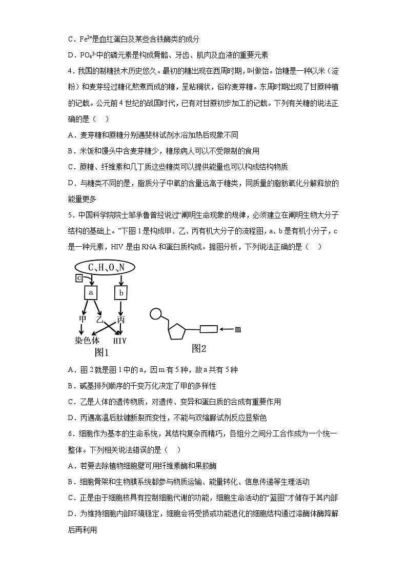 湖北省新高考联考协作体2023-2024学年高一上学期期末 生物试题（含解析）02