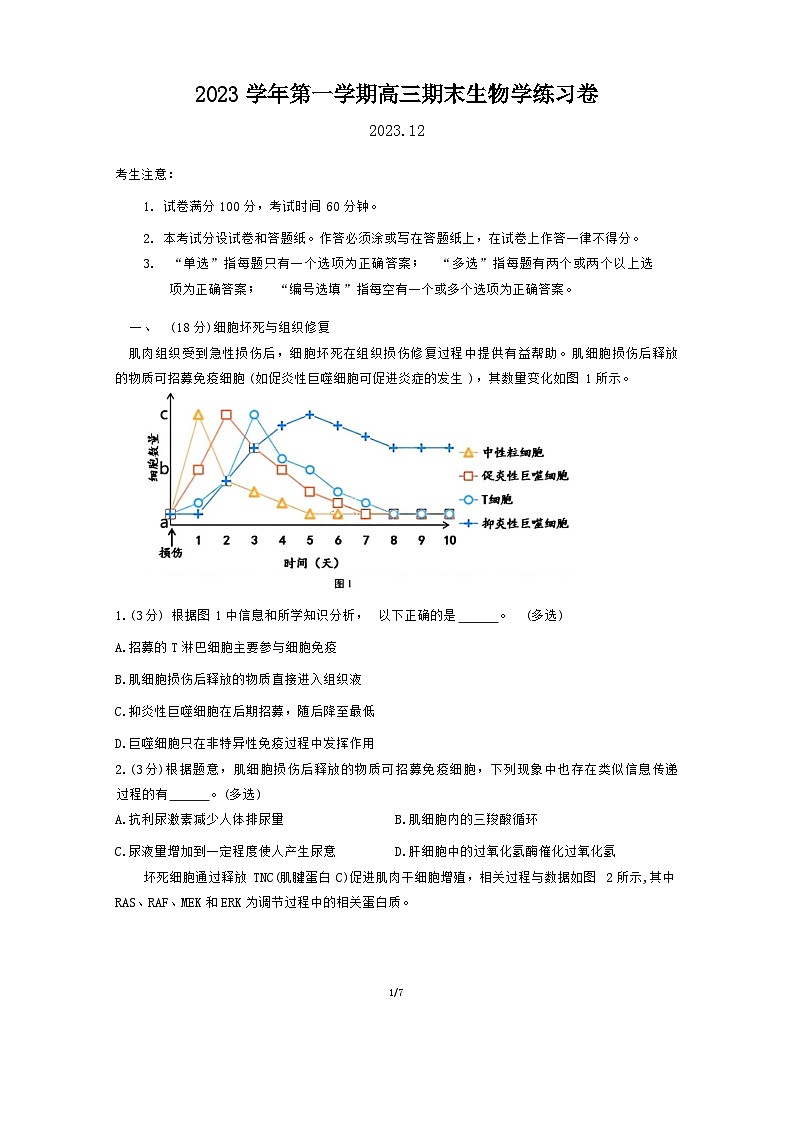 2024年上海市奉贤区高三上学期期末高考一模生物试卷含答案第1页