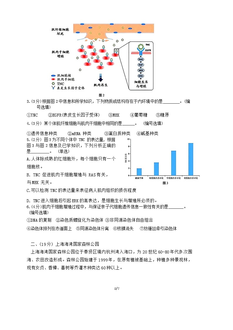 2024年上海市奉贤区高三上学期期末高考一模生物试卷含答案第2页