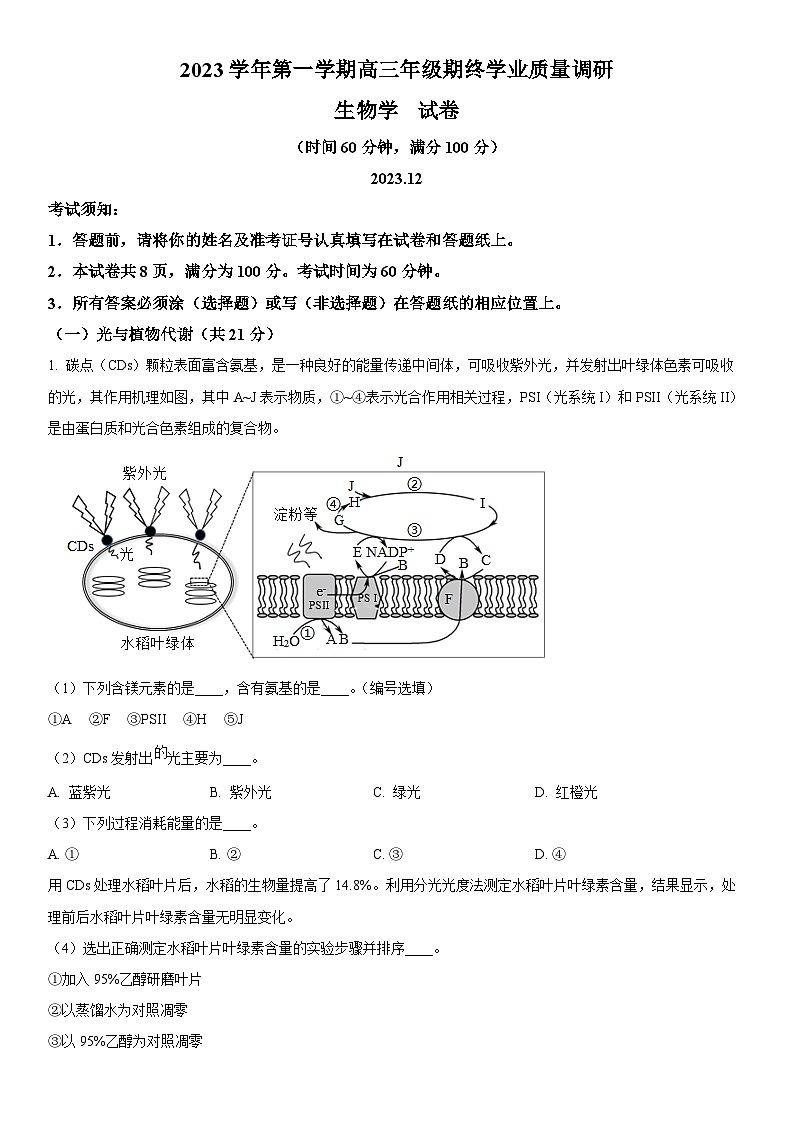 2024年上海市青浦区高三上学期期末高考一模生物试卷含详解01