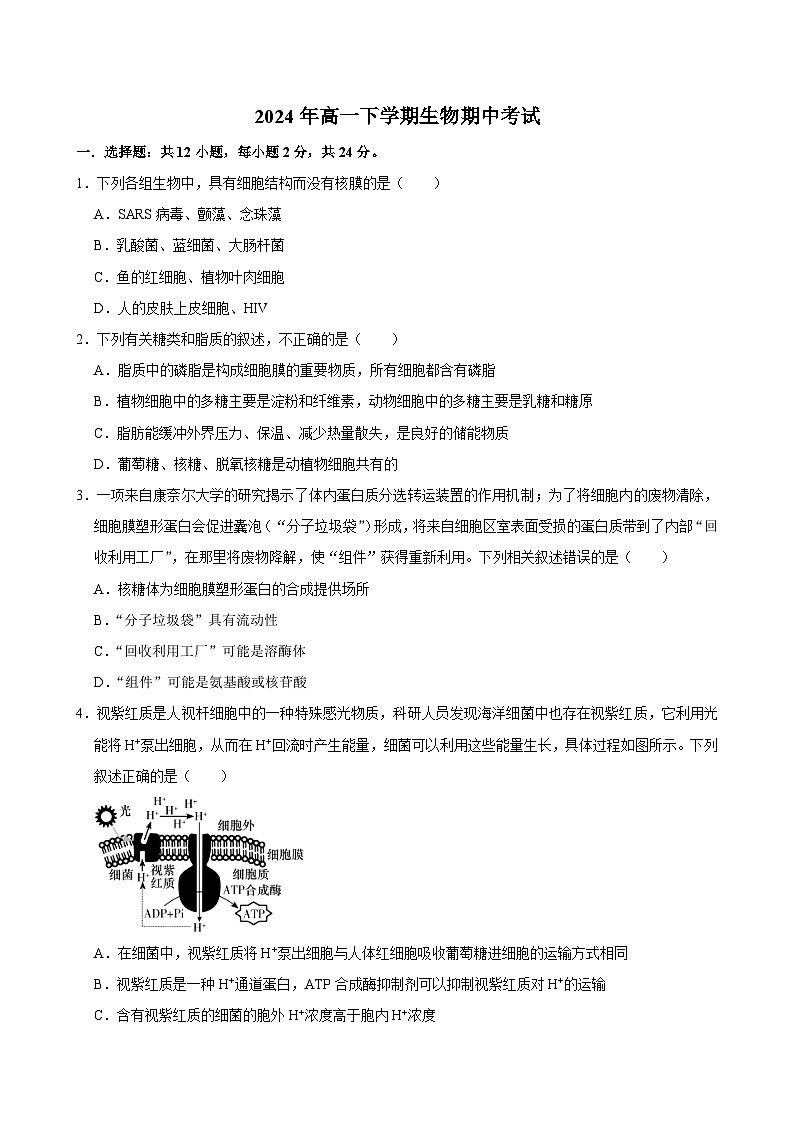 湖南省永州市道县道县第一中学2023-2024学年高一下学期5月期中生物试题01
