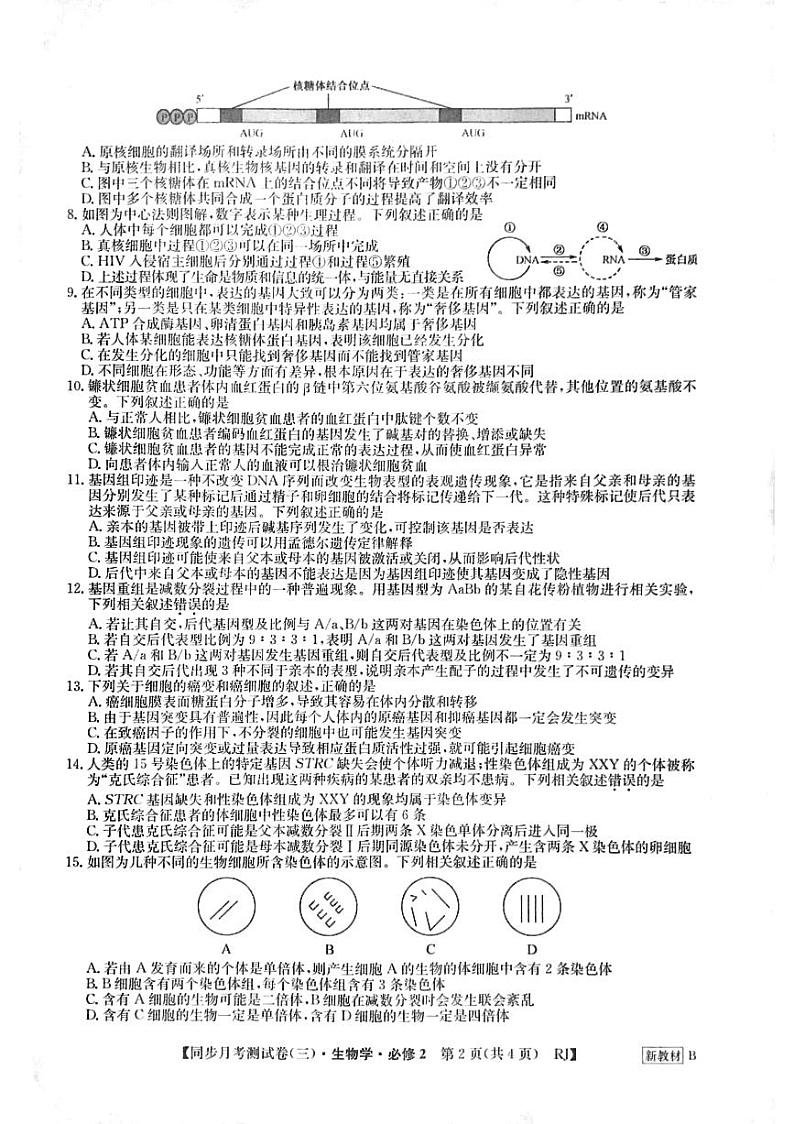 河南省周口市鹿邑县2023-2024学年高一下学期6月月考生物试题02