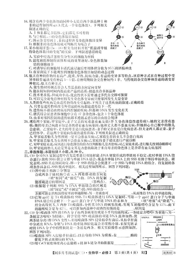 河南省周口市鹿邑县2023-2024学年高一下学期6月月考生物试题03