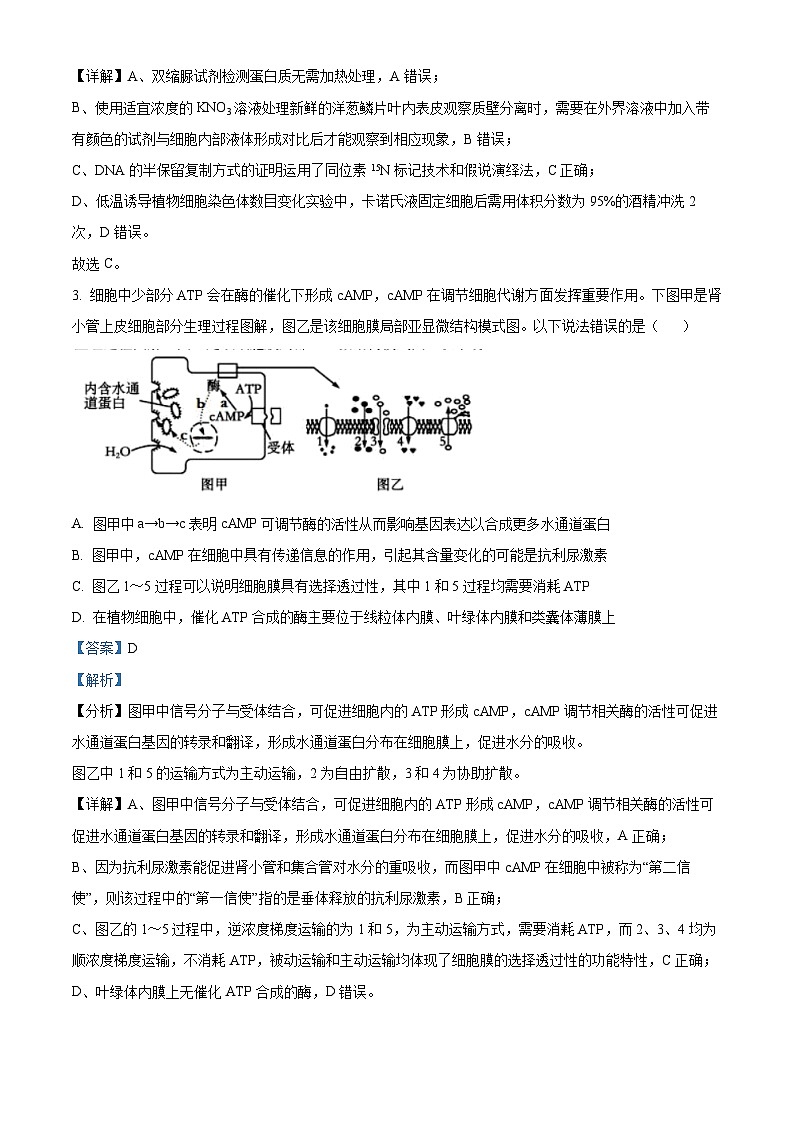 2024届安徽省安庆市第一中学高三三模考试生物试题（学生版+教师版）02